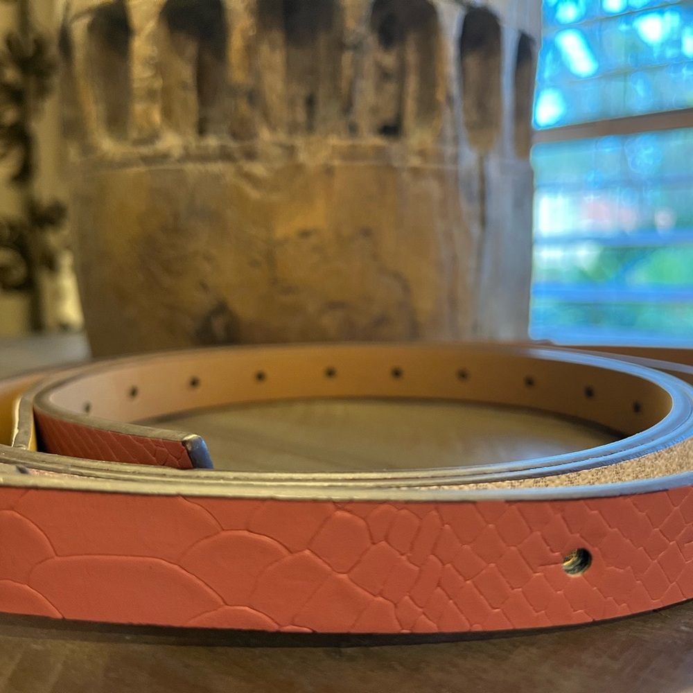 Michael Kors Pink Embossed Snakeskin & White/Gray Monogram Belts Set of 2, Sz XL - Picture 5 of 9